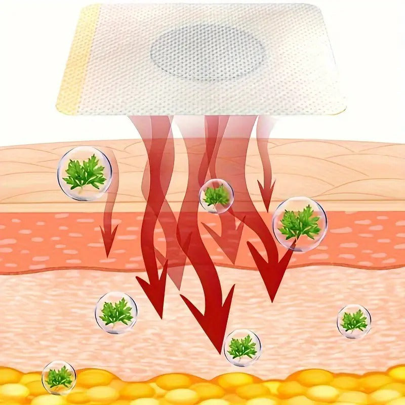 Parches desengrasantes para la grasa corporal